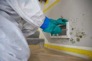 mold damage restoration expert removing mold from walls in Granger