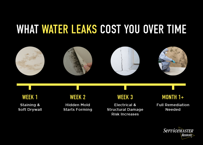 image of what water leaks cost you over time