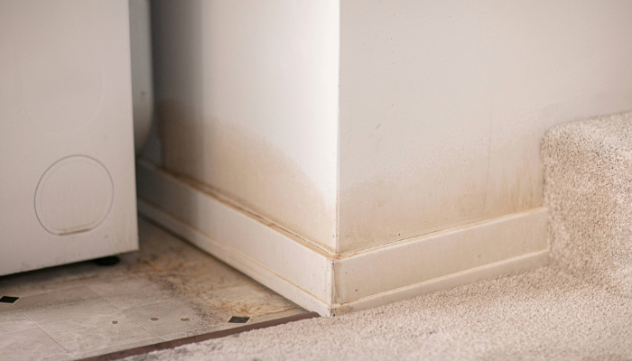 floor water damage spots